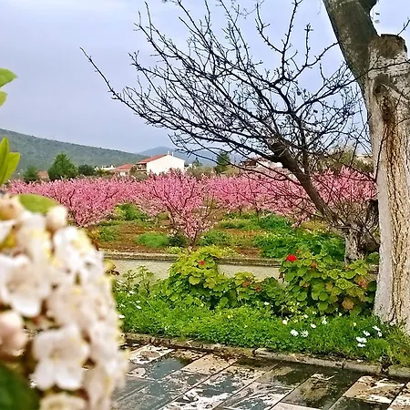 Studio Candia Appartement Kandia