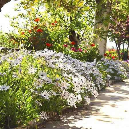 Studio Candia カンディア