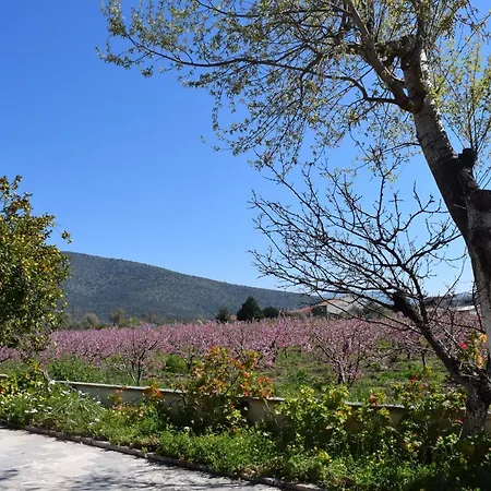 Studio Candia Appartement