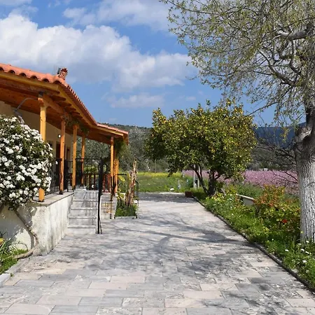 Studio Candia * カンディア