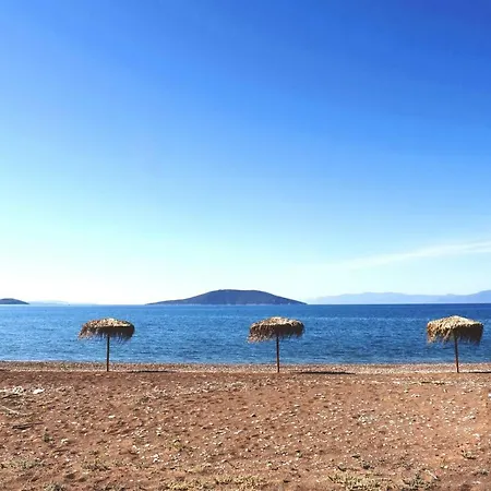 Studio Candia アパート