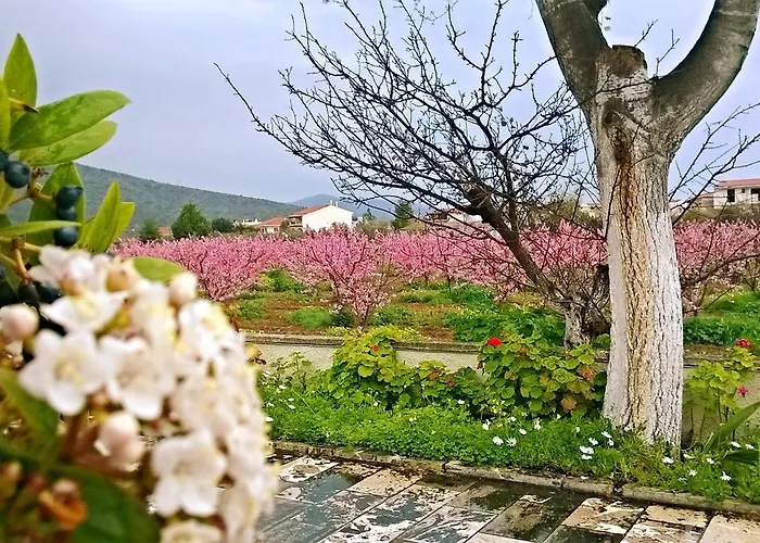 Studio Candia Apartamento Kandia