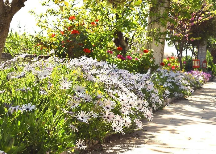 Studio Candia Kandia