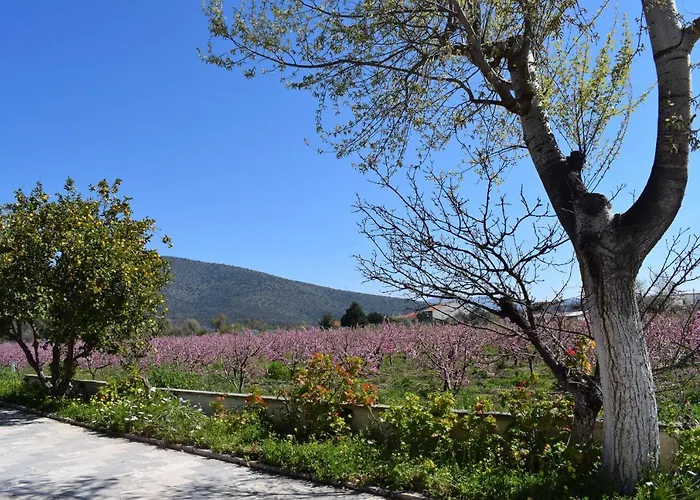 Studio Candia Lägenhet