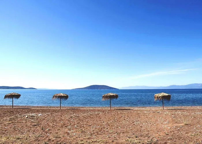 Studio Candia アパート